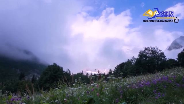 Ловушки Планеты Земля! Секреты Свободы! l НИКОШО и Экхарт Толле смотреть онлайн