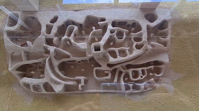 прогулка по достопримечательностям Каппадокии с гидом Асей часть 2 смотреть онлайн