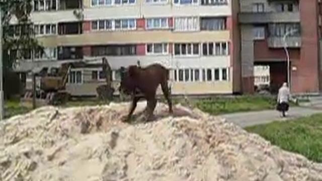 Адель из Санкт - Петербурга/Adele from St. Petersburg смотреть онлайн