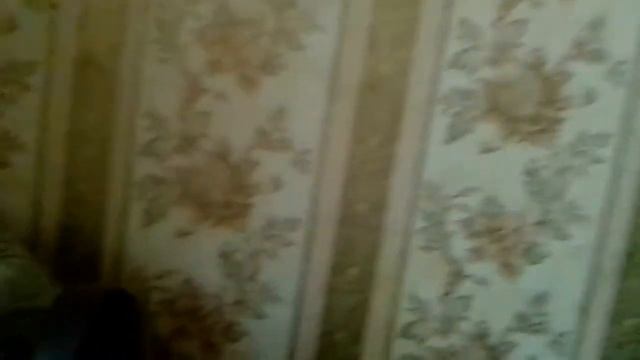 Реклама BRIDGE TV 2014 3 смотреть онлайн