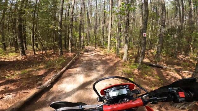 New Honda CRF 300L at Robert's Track and Trail смотреть онлайн