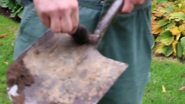 How to catch a mole alive with a spade смотреть онлайн