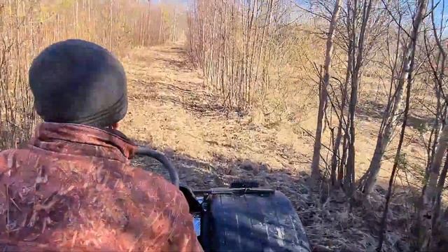 Болотоход ЛИТЛ продолжение смотреть онлайн