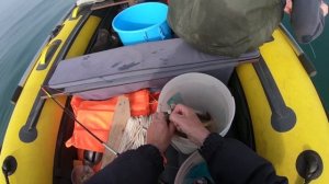 Рыбалка в Приморье. Залив Восток. Морская рыбалка, камбала. 06.06.2021 г.