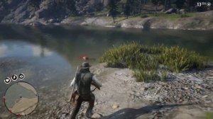 Где найти БОБРА в RDR2 | Превосходная шкура бобра