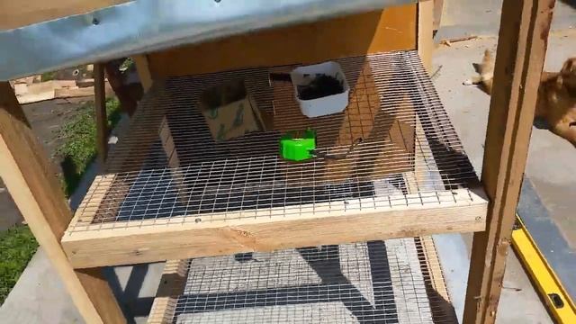 Клетка для кроликов 4х ярусная смотреть онлайн