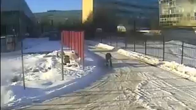 Лихолетов смотреть онлайн