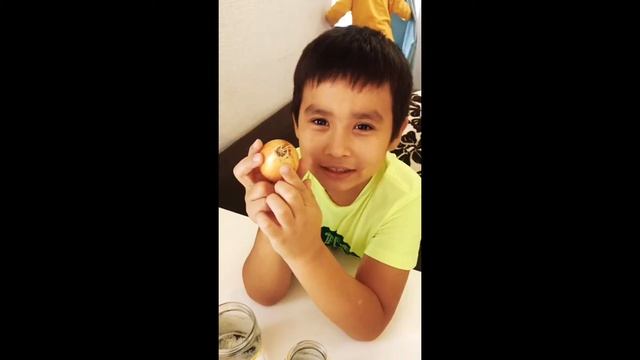 #Полезное #видео #для #детей #Как #вырастить #лук #Самые полезные видео для детей #Обучающее видео смотреть онлайн