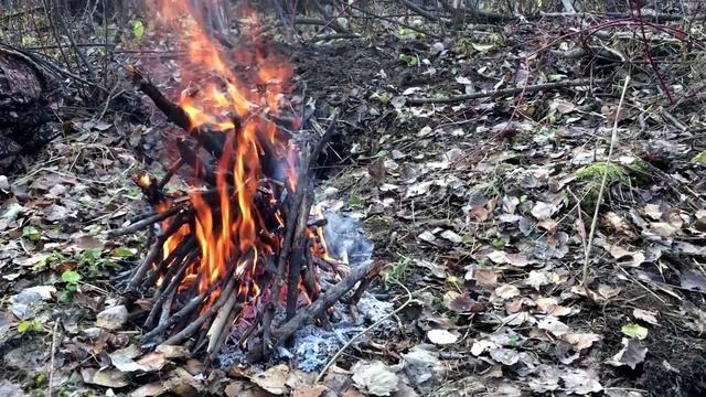 Древесный уголь смотреть онлайн