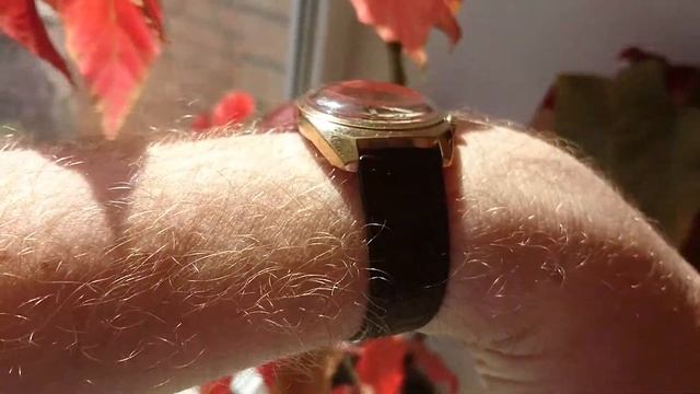 POLJOT,Полёт с будильником,позолоченные,СССР 60годы смотреть онлайн