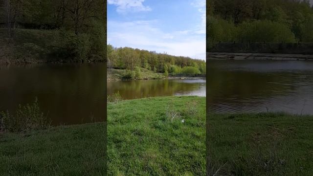 Утро у реки,,,