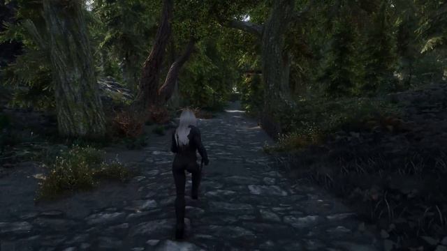 SKYRIM: SE (300+ MODS) ➤ ПРОХОЖДЕНИЕ С МОДАМИ [2K] ─ ЧАСТЬ 1: С такими друзьями.. ➤ СКАЙРИМ NEXT-GE смотреть онлайн