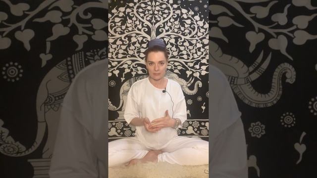 Кундалини йога и эндокринная система смотреть онлайн