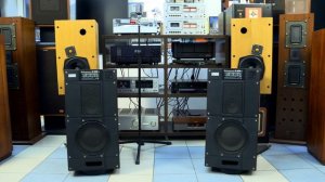 Старые, добрые, советские Radiotechnica S-90B.