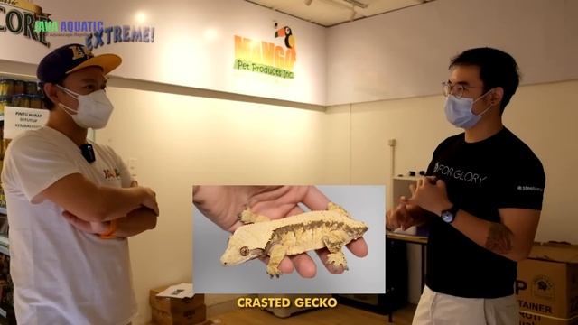 ONE STOP SHOPPING AT JAVA AQUATIC | ADA APA AJA SIH YANG BARU ?? смотреть онлайн
