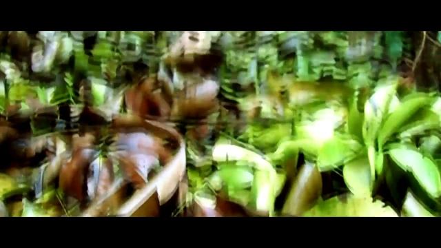 Fim Look Canon PSSX 410 IS смотреть онлайн