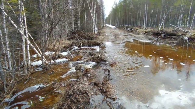 Каракат ЗИС-5# Едем в тайгу# первый выезд#