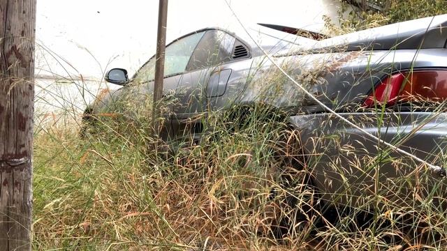 Abandoned Toyota Mr2 смотреть онлайн