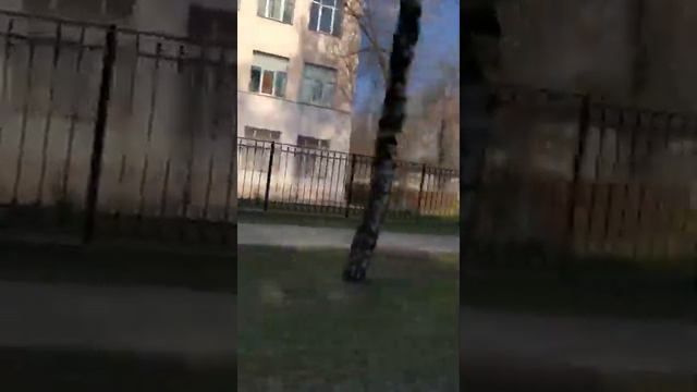 Город Жуковский. Район стадиона.