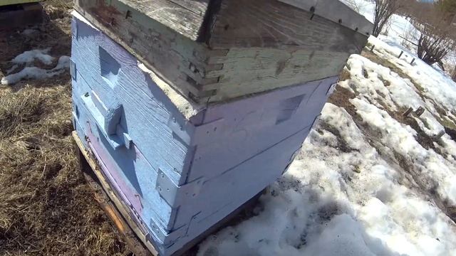 Пчелки полетели, птички запели? смотреть онлайн