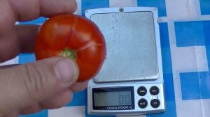 Томат Бони ММ (обзор)