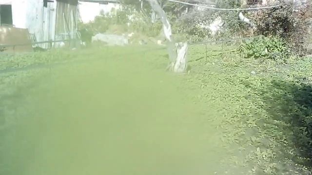 Самый лучший полив спрей лента туман. смотреть онлайн