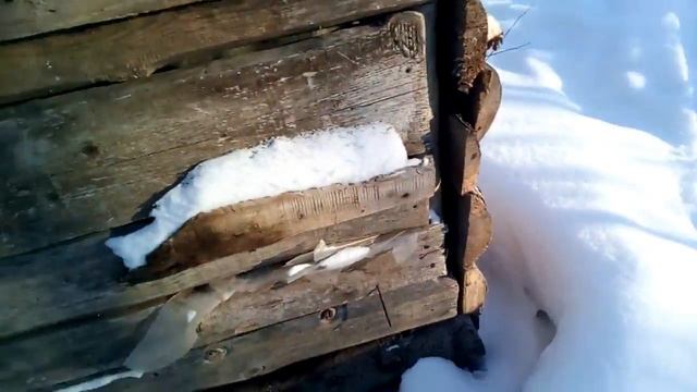 ШАЛАШ В ЛЕСУ! буржуйка в дом на дереве) смотреть онлайн