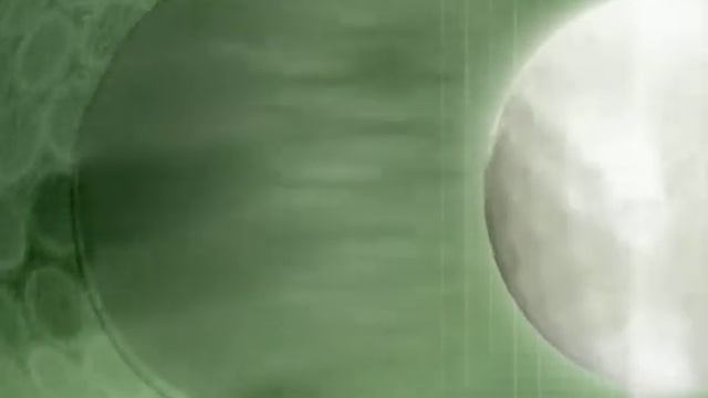 JB 210 смотреть онлайн