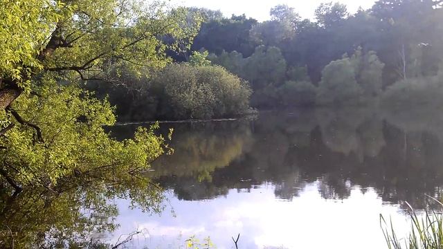 Покровское Стрешнево пруд на реке Чернушке