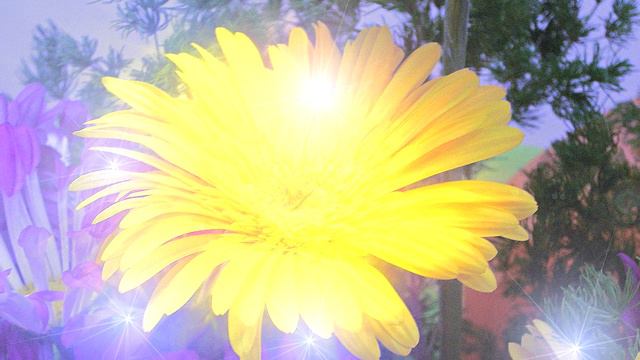 Для вас красавица!💐🌹🌺 Будьте счастливы всегда! От души звучат мои слова! Красивая открытка в стихах смотреть онлайн