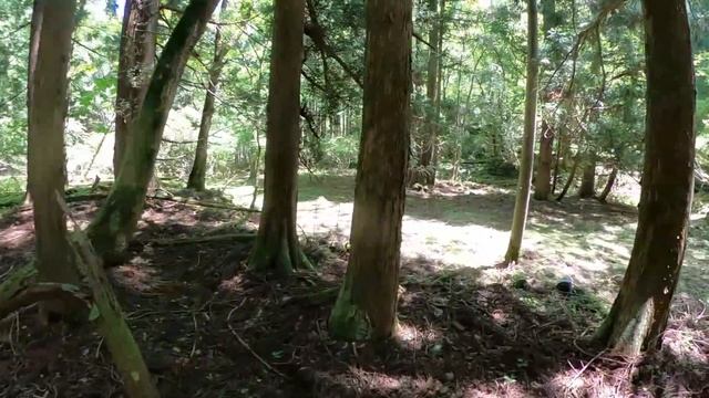 【廃村探検】旧北陸線の廃線明治トンネルの真上に存在した誰も知らない廃村跡を探検　山中集落　　　　　　山中隧道　福井県南越前町　日本語字幕推奨　各国翻訳あり смотреть онлайн