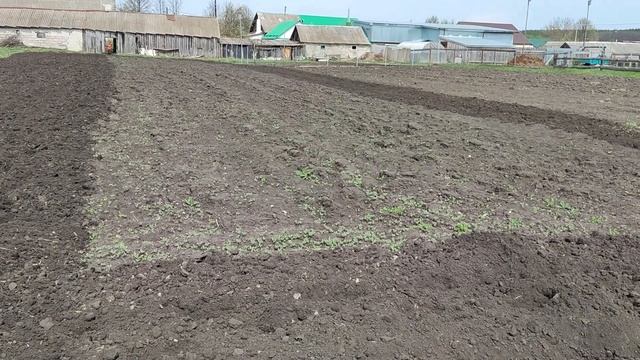 Фрезерую почву мотоблоком смотреть онлайн