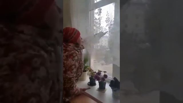 В Тульской области женщина сорвала Z- наклейки на окне в детском саде смотреть онлайн