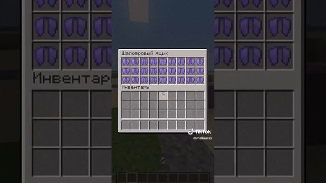 Сколько времени нужно чтобы добежать до границы в Майнкрафт! #сколько #времени #нужно #чтобы смотреть онлайн