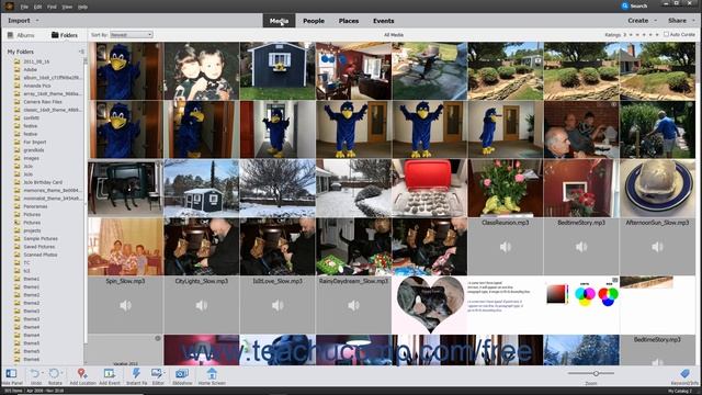 Photoshop Elements 2020 Tutorial The Organizer Environment Adobe Training смотреть онлайн