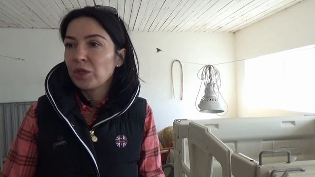 Телячья деревня: содержание телят в индивидуальных домиках. Умная ферма: прибыльный молочный бизнес смотреть онлайн