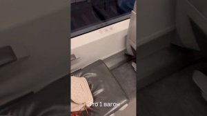 Ласточка РЖД - из Ростова-на-Дону в Новороссийск! ? ?