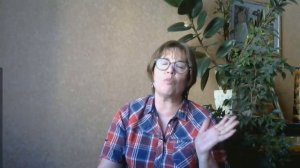 Когда на Алтае сезон? Когда лучше ехать на Алтай?