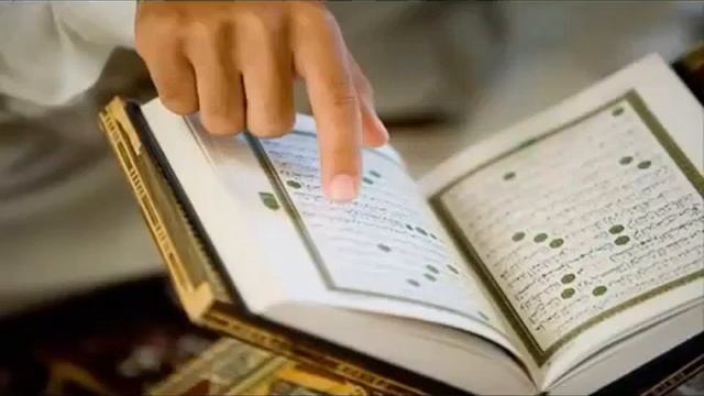 Муфтий хамхоев не знает арабского языка смотреть онлайн