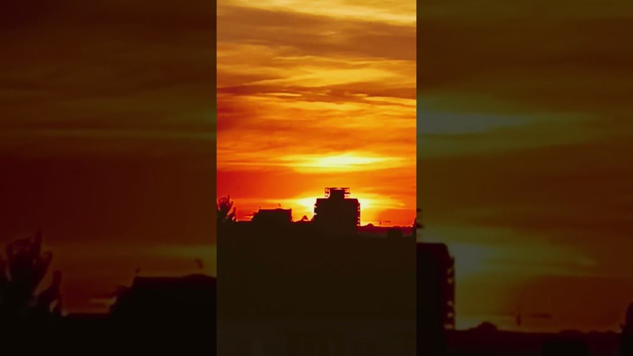respect 1508242034 #asmr #remix #sunset #pets смотреть онлайн