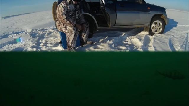 Ловля окуня в приглядку, в камеру. #Окунёвоецарство. Catching perch in priglyadku in camera. смотреть онлайн