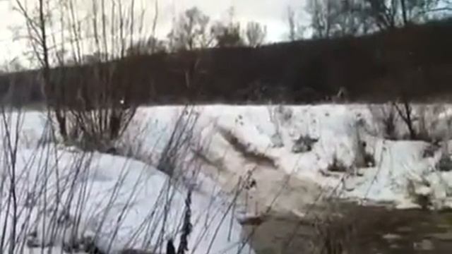 Вентура смотреть онлайн