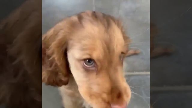 какие глазки.mp4