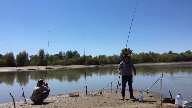 Рыбалка в Алматинской области, низовье р.Каратал смотреть онлайн