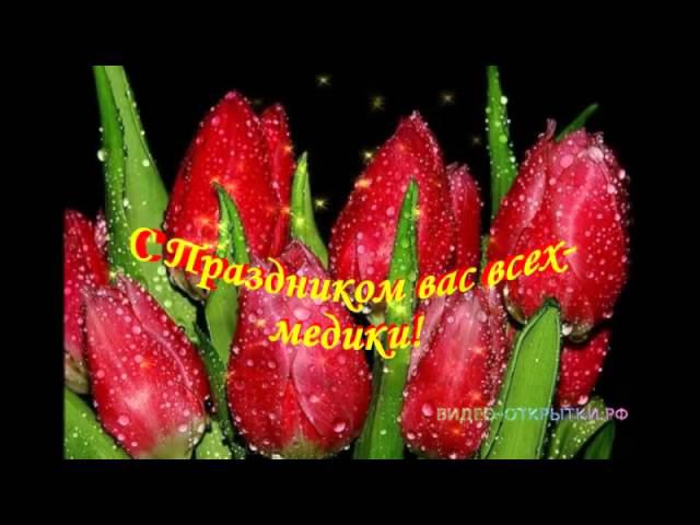 С ДНЕМ МЕДИКА смотреть онлайн