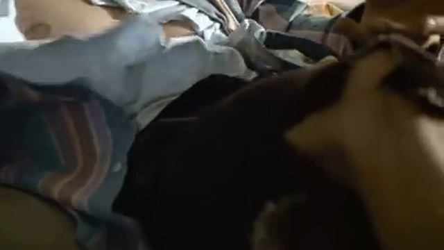 VITTEL "APPARTMENT" / ERIC COIGNOUX смотреть онлайн