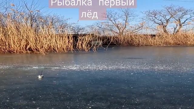 31 января 2023 г. смотреть онлайн