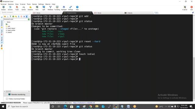 Session 4 What is Git ignore , reset , stashing, untracked file, git revert etc смотреть онлайн