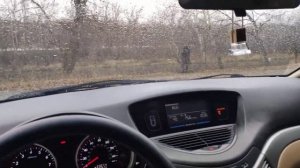 Обзор отзыв Subaru Tribeca