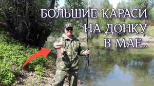Майская рыбалка донками на крупного карася. Плюс бонусом испытание самодельного попла поппера.